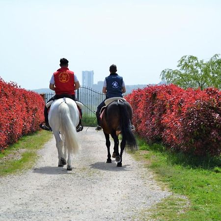 Вилла Vento Barocco - Equitazione E Turismo Матера Экстерьер фото